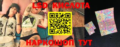 стаф Берёзовский