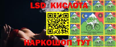 стаф Берёзовский