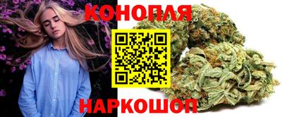 стаф Берёзовский