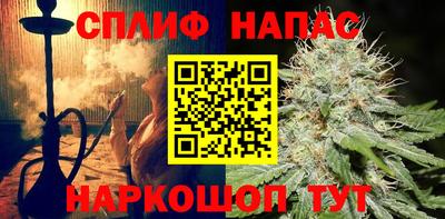 стаф Берёзовский