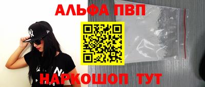 стаф Берёзовский