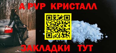 стаф Берёзовский