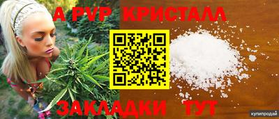 стаф Берёзовский