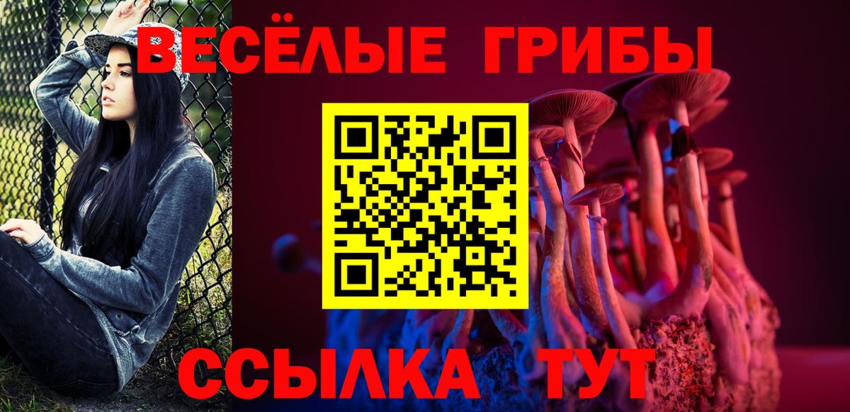 Псилоцибиновые грибы прущие грибы  Вход с VPN  Заводоуковск 